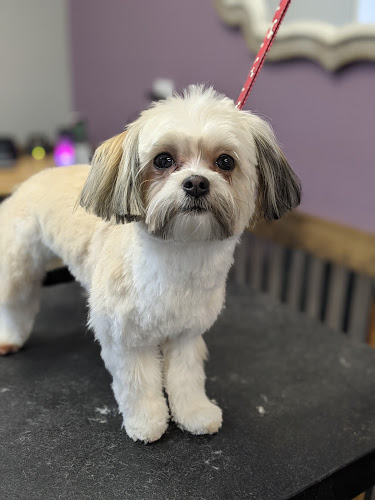 Barking Mad Grooming and Bakery