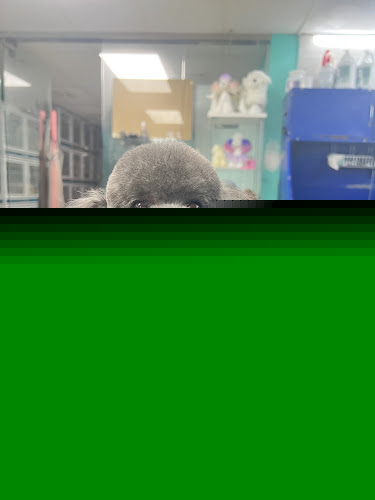 Barking Pet Spa（Chinatown)