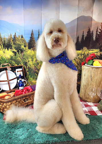 Barkingdales Halls Crossroads