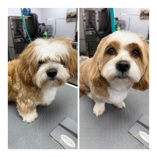 Barks and Bubbles Salon & Mobile Pet Grooming