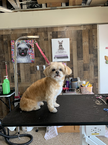 Barks & Beauty pet salon