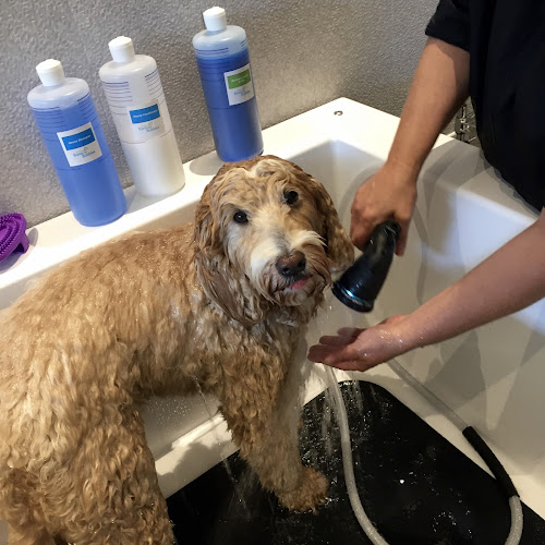 Barks & Bubbles Dog Grooming Spa