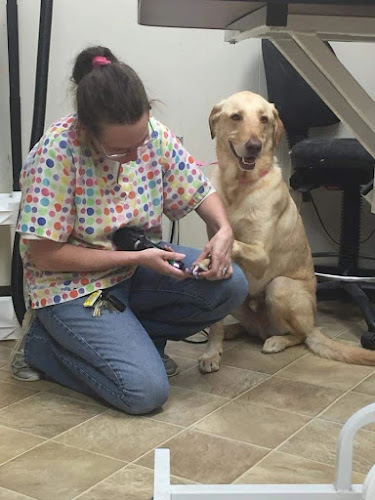 Barks, Bubbles, & More