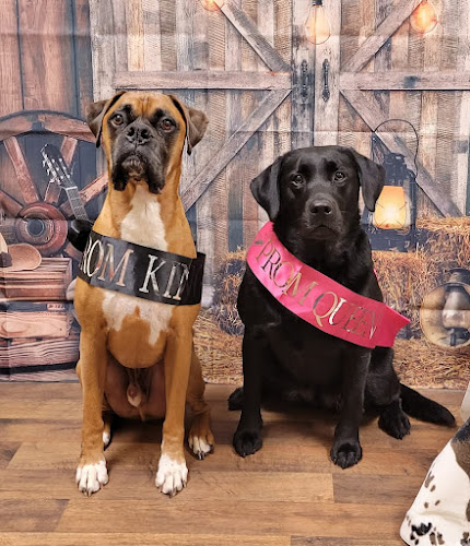 Barks & Bubbles on the Boulevard