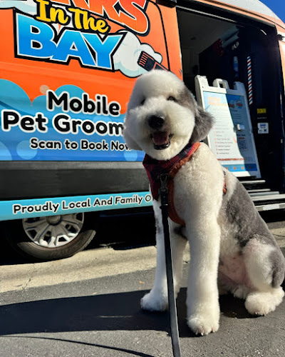 Barks in The Bay Mobile Pet Grooming