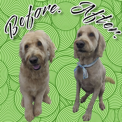 Barkside Grooming & Spa