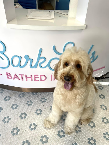 BarkSuds Marina Westshore District