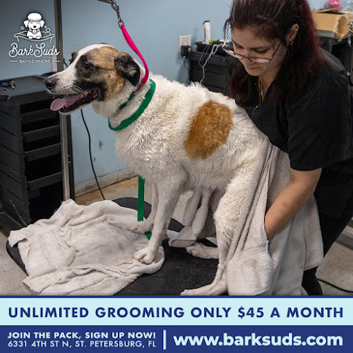 BarkSuds Saint Petersburg