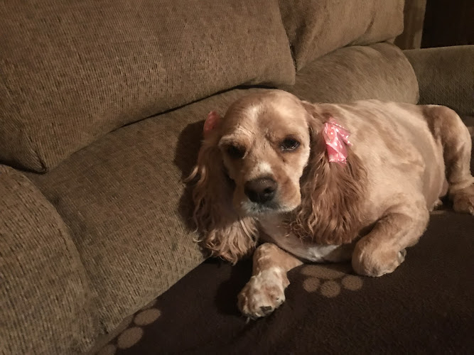 Bath and Biscuits LLC