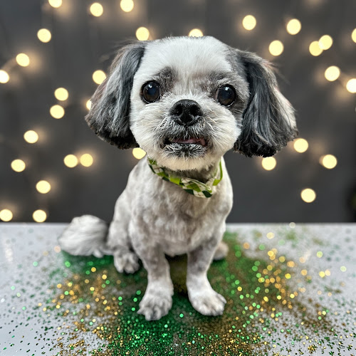 Bath Brush and Beyond