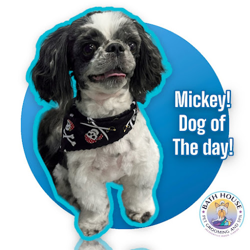 Bath House Pet Grooming