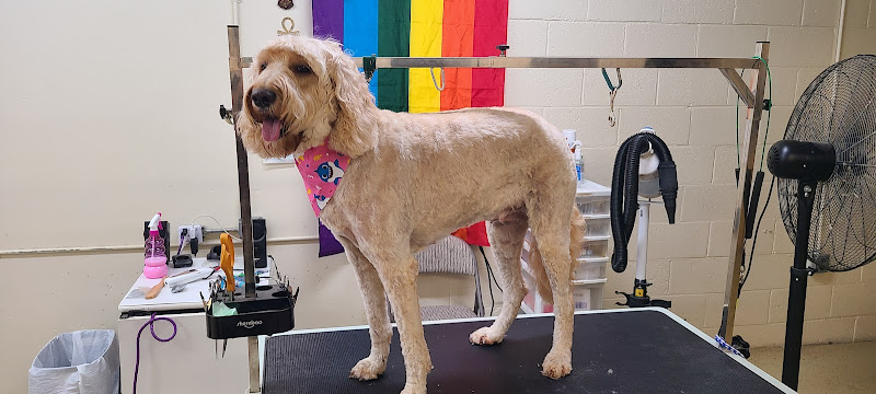 Baths Barks & Bubbles Pet Spa at The Ridge