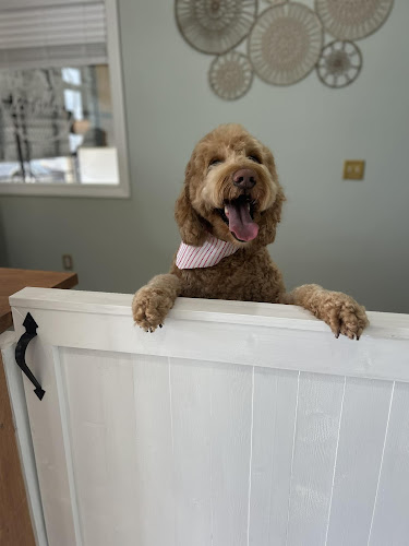 Beau & Belle's Dog Grooming (Beau and Belle's)