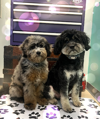 Beautiful Canines by Erin