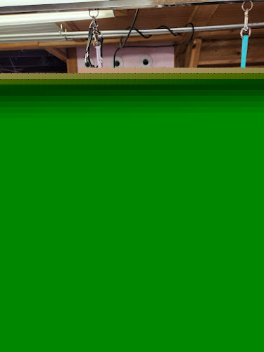 Beauty In Four Paws Salon