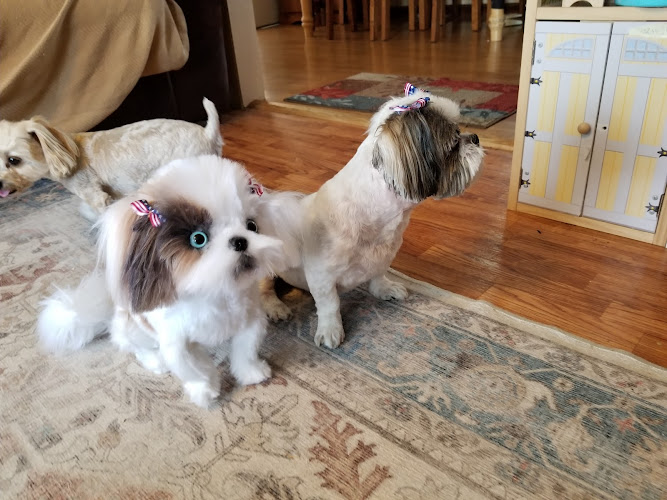 Beech Grove Pet Grooming & Jeff's Mobile Grooming Inc.