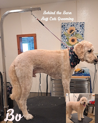 Behind the Barn Ruff Cuts