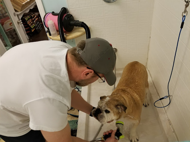 Bella and Bow's Pet Salon Semmes