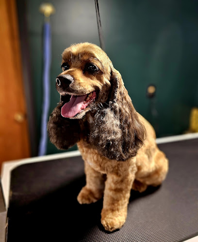 Bellevue Grooming Co.