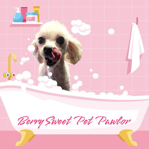 Berry Sweet Pet Pawlor, LLC