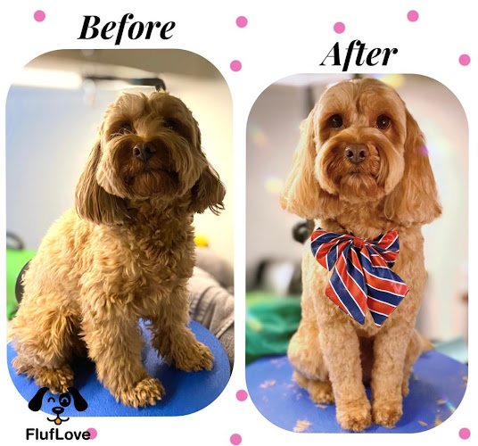 Best Dog Groomers Murray Hill