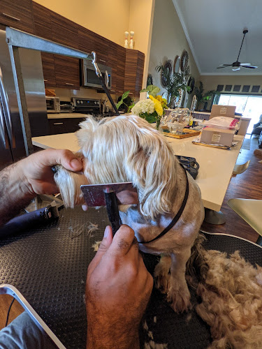 Best Friend's Keeper Dog Grooming