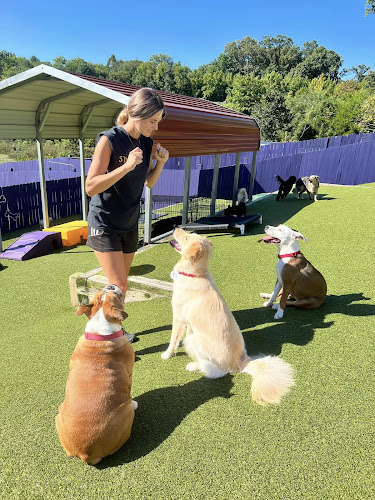 Best Friends Fur Ever