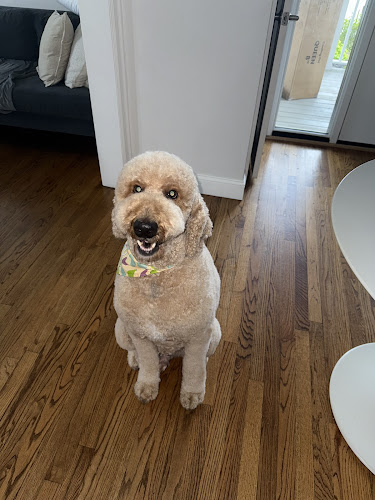 Best Friends Pet Grooming