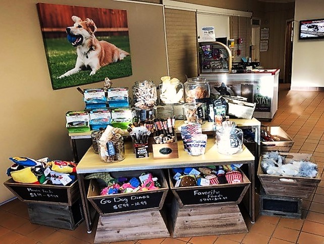 Best Friends Pet Hotel