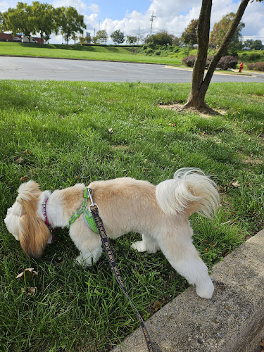 Best Friends Pet Hotel