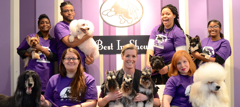 Best In Show Doggy Daycare, Groom & Board