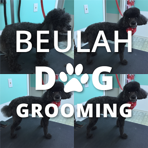 Beulah Dog Grooming