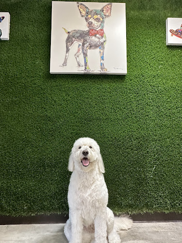 Bibi's Pet Grooming Salon