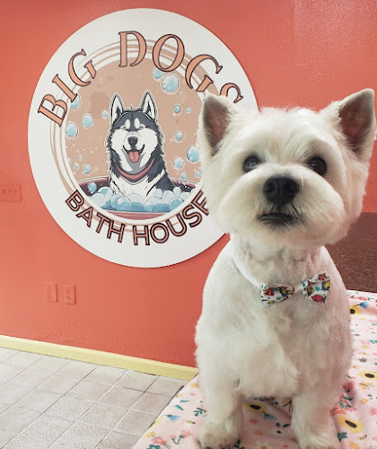 Big Dogs Bathhouse