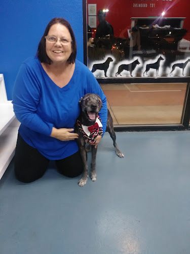 Big Foot Pet Grooming