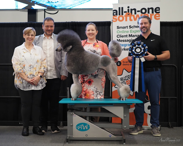 Big 'N Small Pet Grooming, LLC