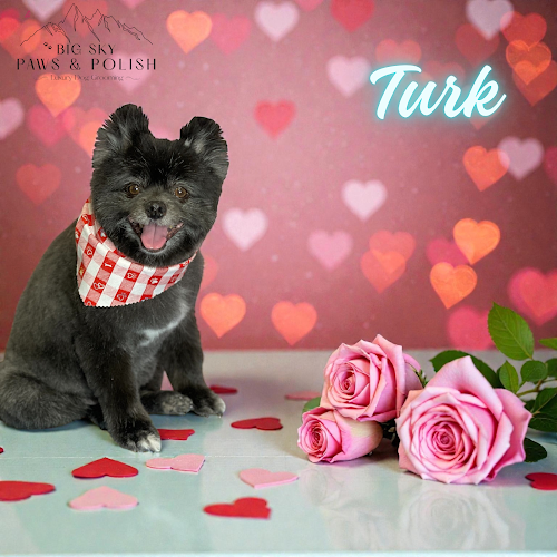 Big Sky Paws & Polish