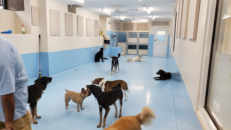 Biscuits & Bath - Financial District