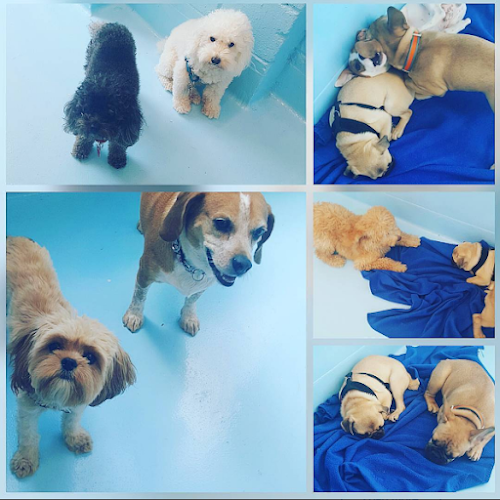 Biscuits & Bath - Midtown West