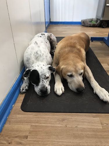 Bitchin’ Paws Groomin’ Salon