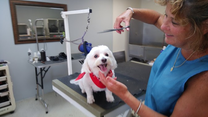 Black Dog Grooming Salon (Griswold)