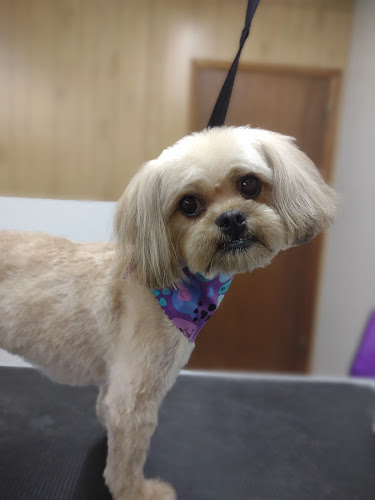 Black Hills Groom Room