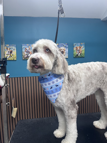 Blooming dog grooming LLC