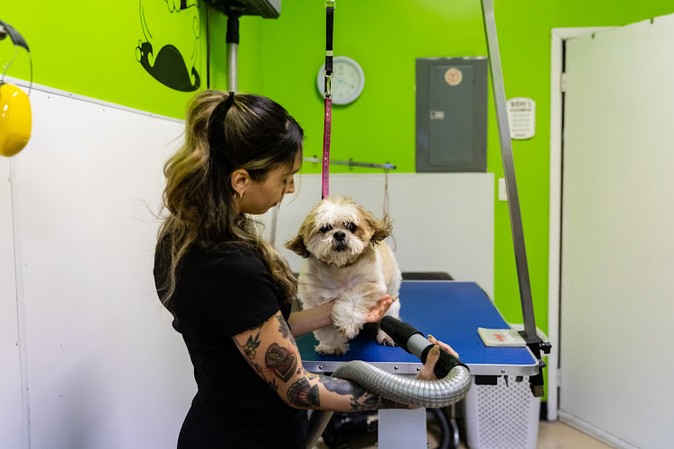 Bloomingtails Grooming