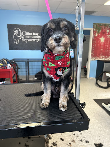 Blue Dog Pet Grooming & Boarding - Tiffany Lane