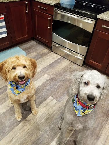 Blue Haven Pet Salon