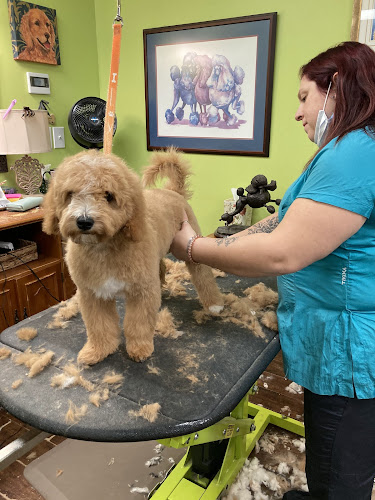 Blue Ribbon Pet Salon