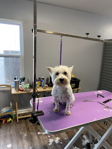 Bluegrass Groom Room