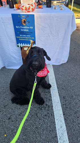 Bo's Pawsitive K9 Services