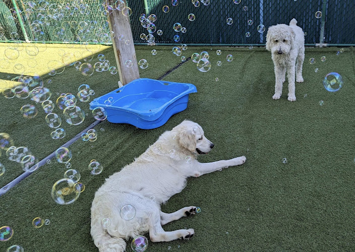 Bonita Boarding Kennel and Pet Camp